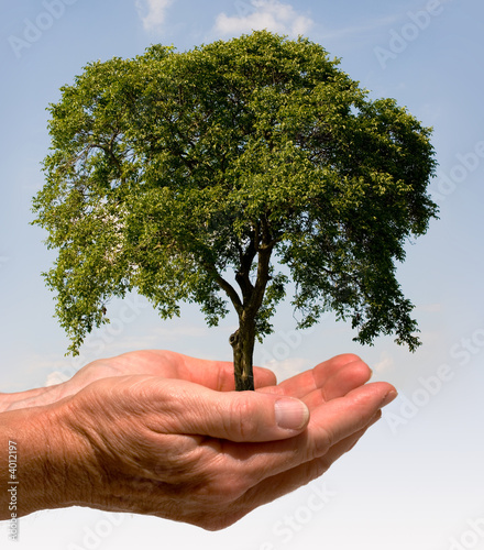 Hand mit Baum