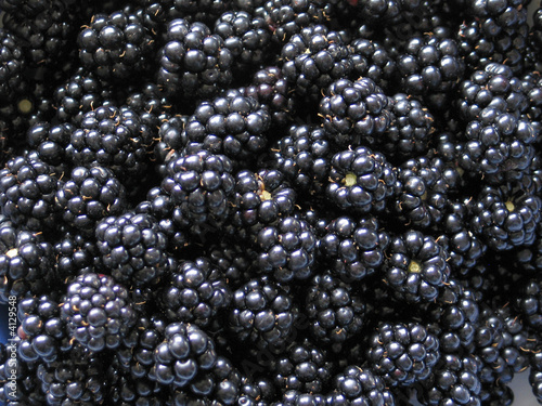 Brombeeren