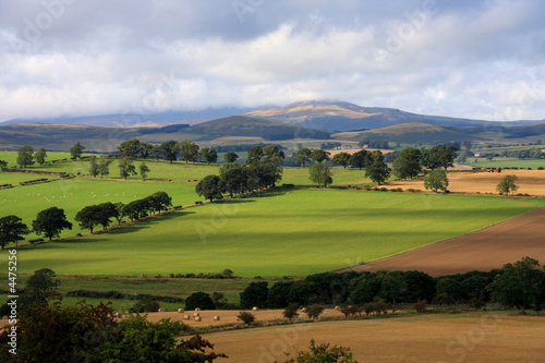 Cheviots Hill