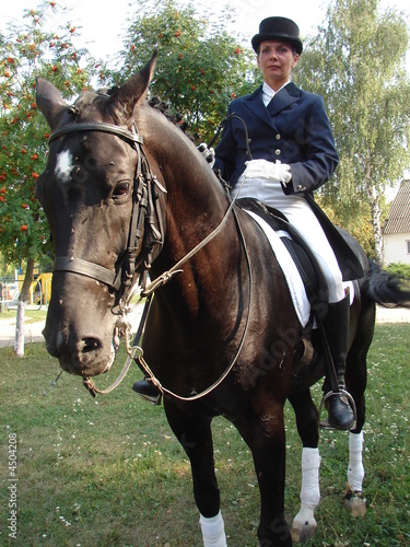 equestrian woman on black horse 1