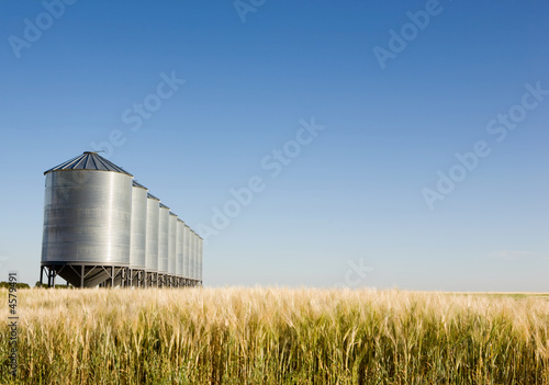 Prairie Harvest