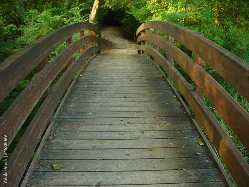 ponte nel parco