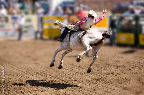 Saddle Bronc