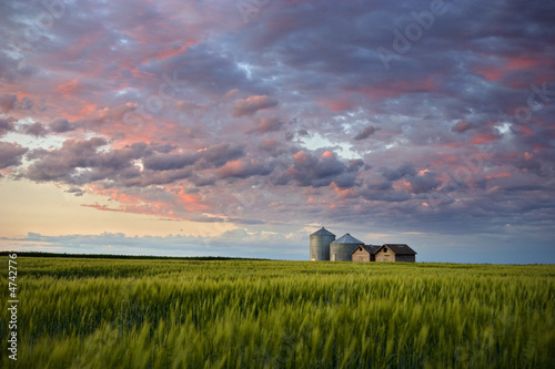 Summer Evening on the Prairie