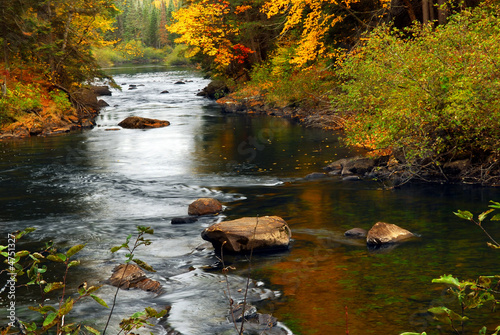 Forest river in the fall