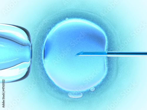 In vitro fecundation using sperm (cold color)