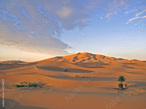 Sonnenaufgang in der Sahara