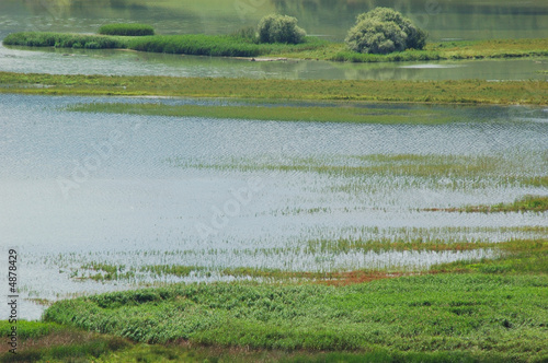 Lago di tarsia