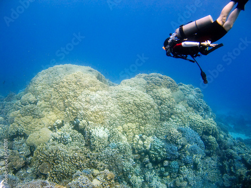 Diver over coral reef