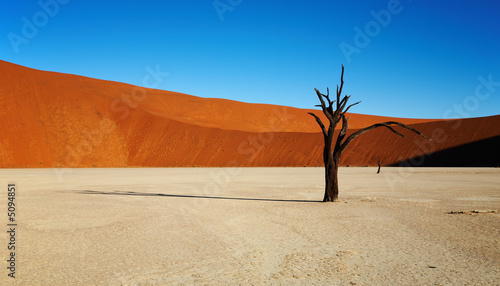 Dead trees in Dead Vlei - Sossusvlei, Namib desert, Namibia.