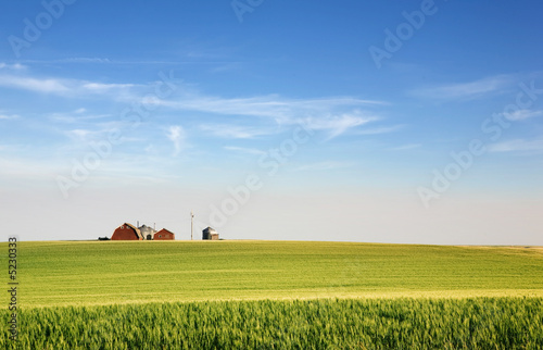 Prairie Farmland