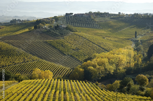 Les vignes du Chianti en Toscane