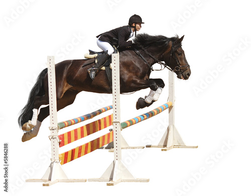 show jumping - isolated on white