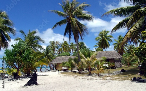 Image Tropicale - Tropical Photo Shot