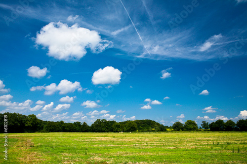 Paysage de campagne avec prairie et foret sur ciel bleu