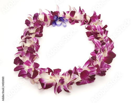 Polynesian/Hawaiian lei shot on white