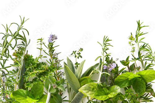 Border of fresh herbs