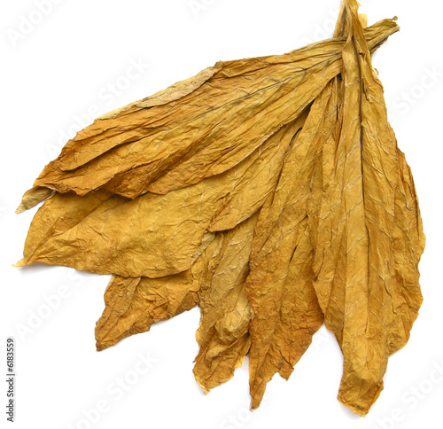 Tobacco Leaves