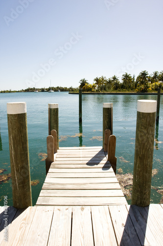 boat dock with ladder, and floating weed