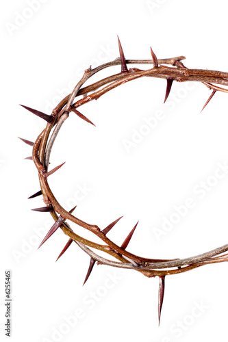 Crown of thorns