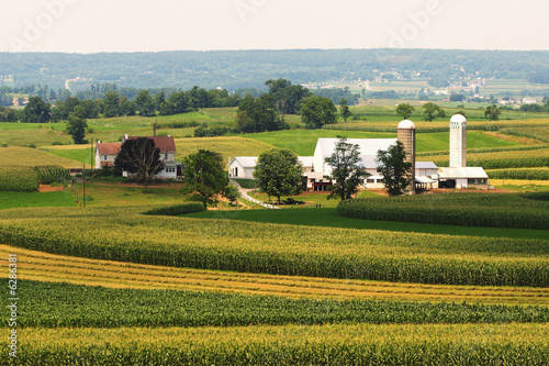 An amish farmland in Pennsylvania.