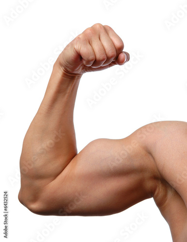 Close up of man's arm showing biceps