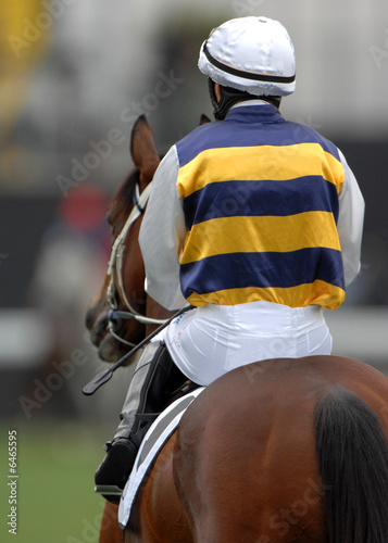 A jockey heads out to the starting gates