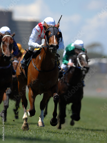 A jockey in action during on a horse during a race.