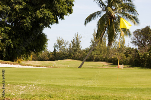 yellow flag on golf course putting green