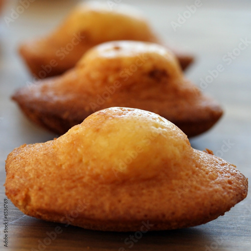 madeleines