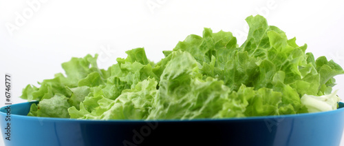Green salade