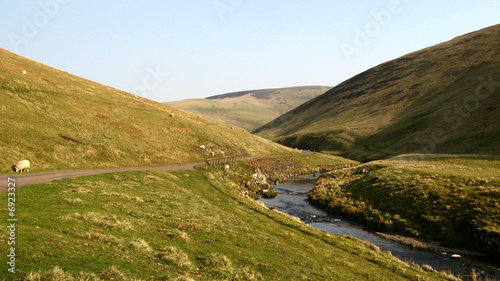 Cheviot hills