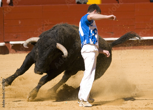 Recortador de toros