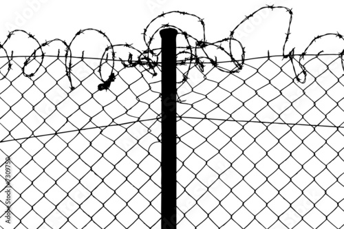 wired fence with barbed wires