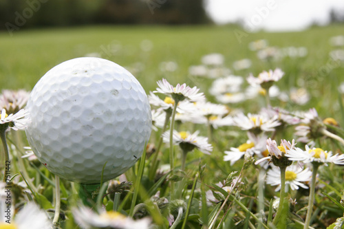 golf ball in flowers