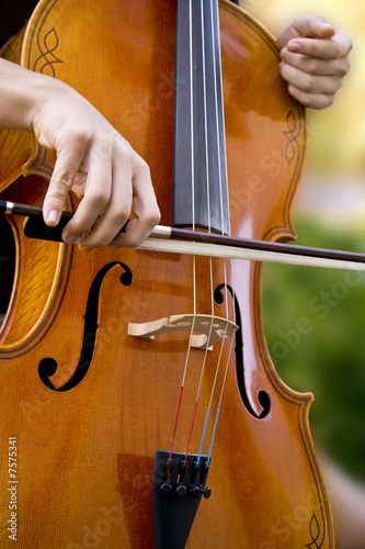 Cello