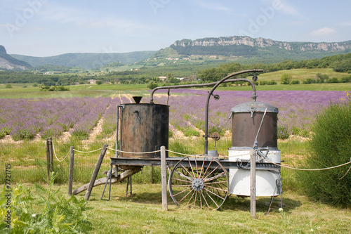 L'alambic provençal près d'un champ de lavande