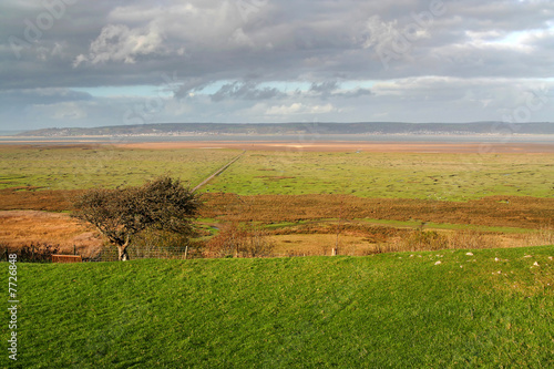 The salt marshes in the Gower peninsula, wales, uk