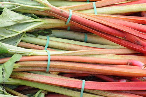 Rhubarb