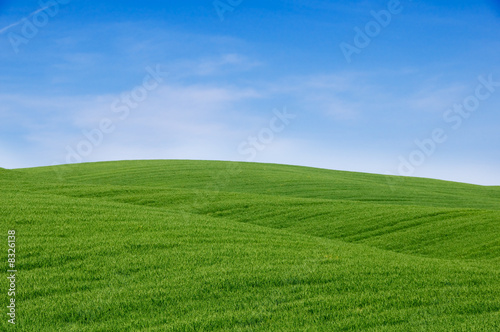 Rolling green hills and blue sky. Tuscany landscape, Italy.