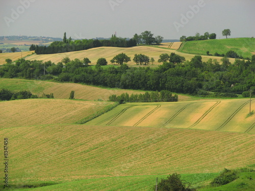 Gers, campagne vallonnée