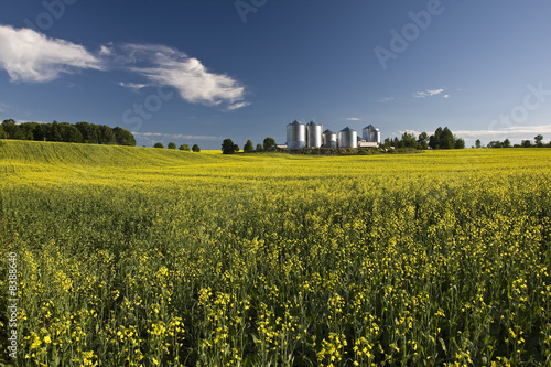 Biofuel