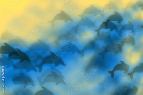 Abstract dolphin background