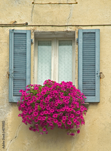 Old Window with shutters and Window box with flowers