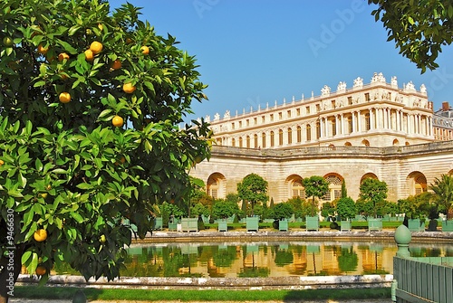 orangerie de Versailles