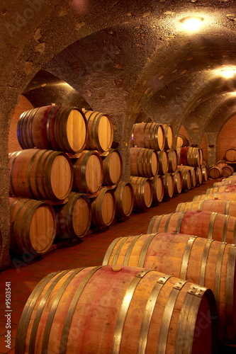 Weinkeller,Rotwein im Barrique Faß ausgebaut,Toskana,Italien