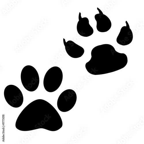 print of leg of dog isolated on black