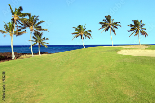Golf Course Slope on Lava Ocean Shore of Kona Island, HI