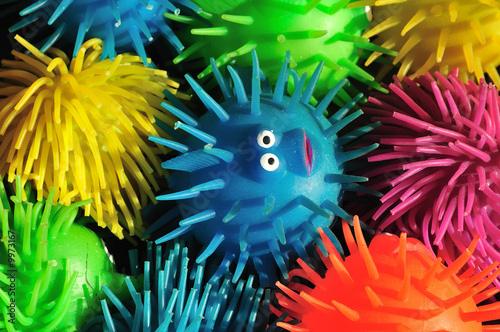 One wide-eyed squishy puffer fish lost in a sea of color