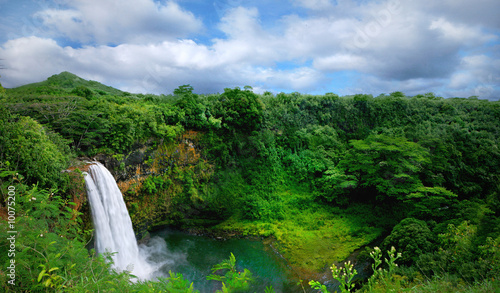Lush Green Landscape Waterfall on the Hawaiian Islands